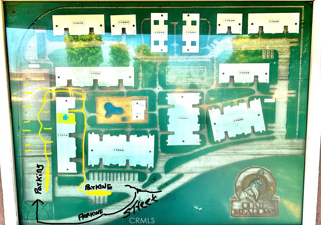 Media Image 1