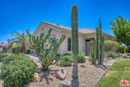 Media Image 2