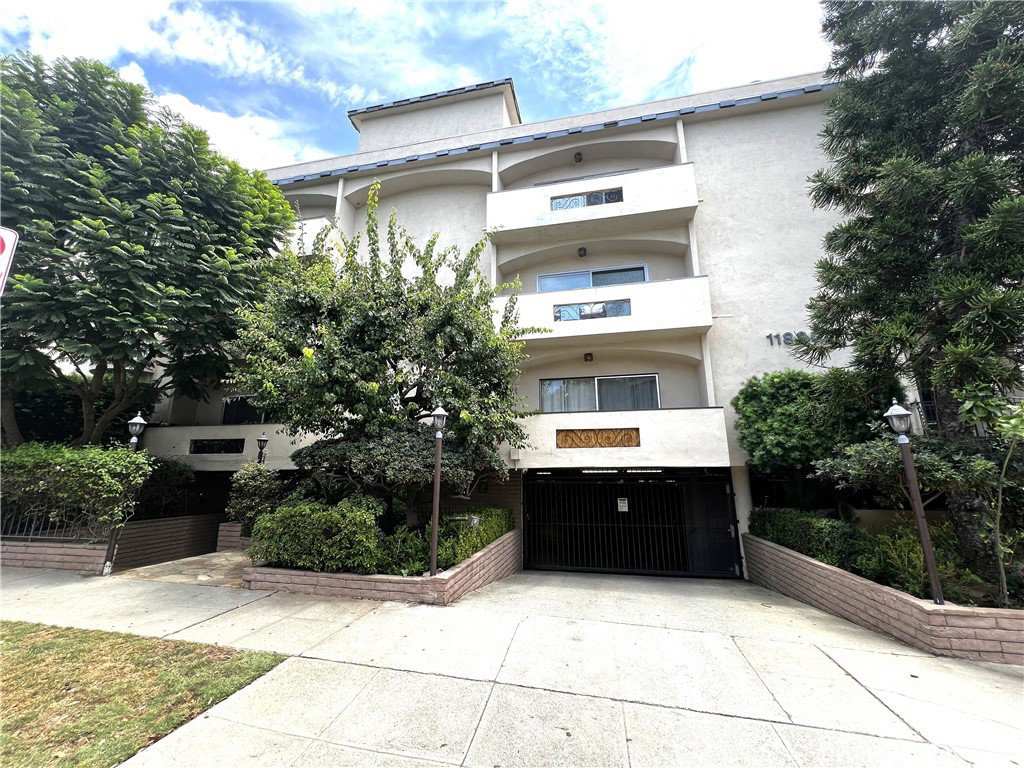 Media Image 1