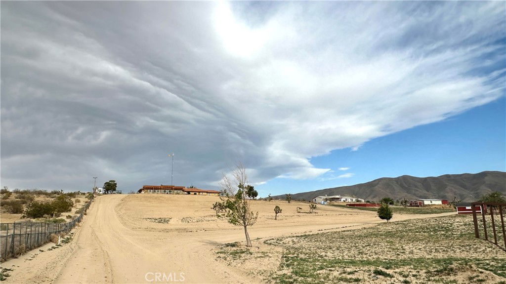 Media Image 1