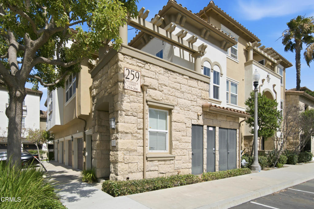 Media Image 1