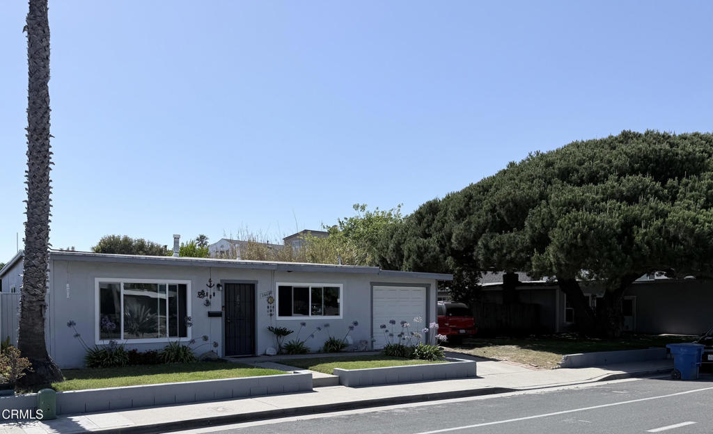 Media Image 1
