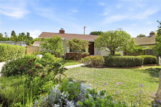 Media Image 3