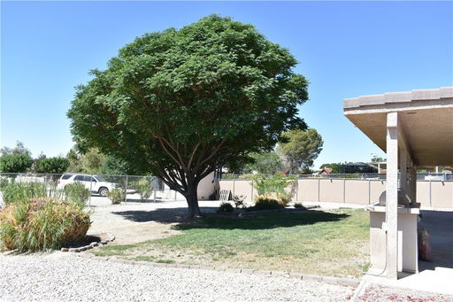 Media Image 2
