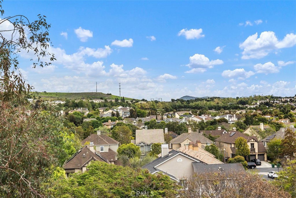 Media Image 1