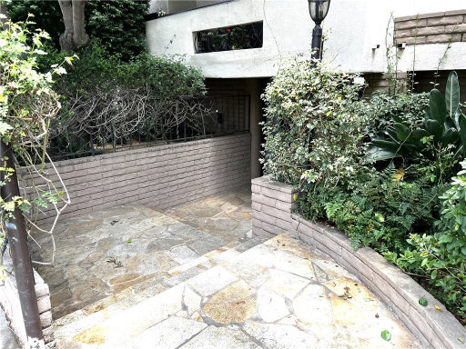 Media Image 2