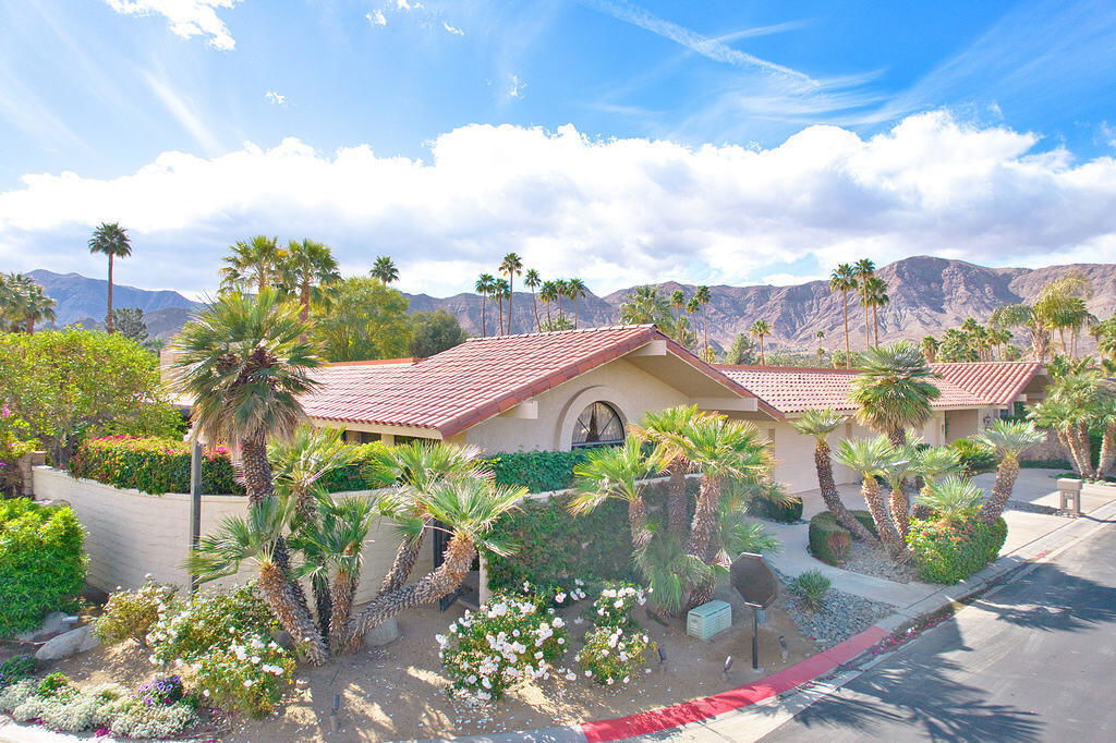 Media Image 1