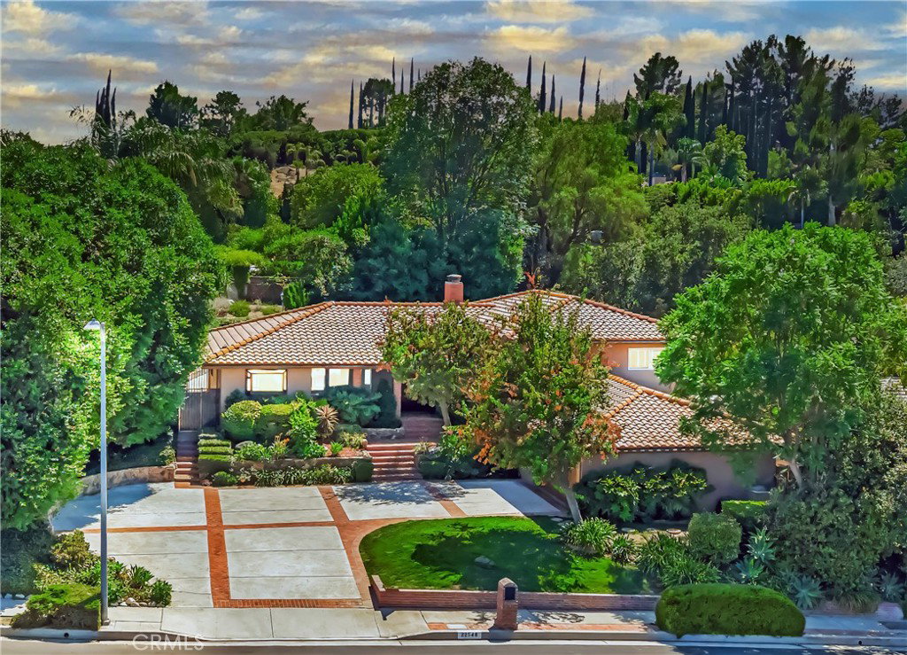 Media Image 1