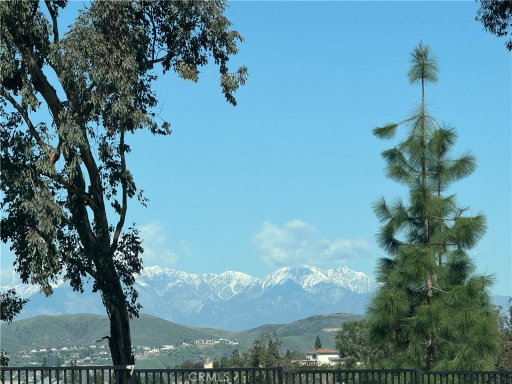 Media Image 2