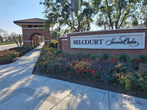 Media Image 2