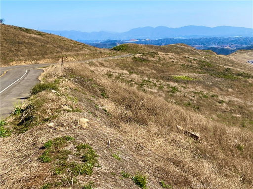 Media Image 2