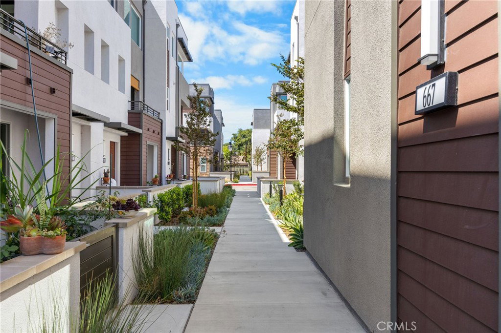 Media Image 1