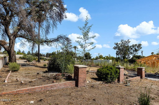 Media Image 3