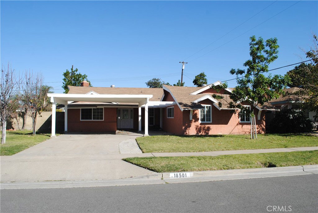 Media Image 1