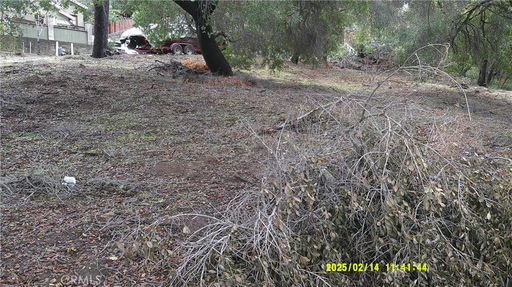 Media Image 2