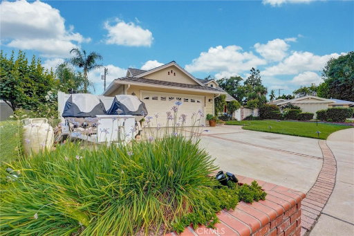 Media Image 3