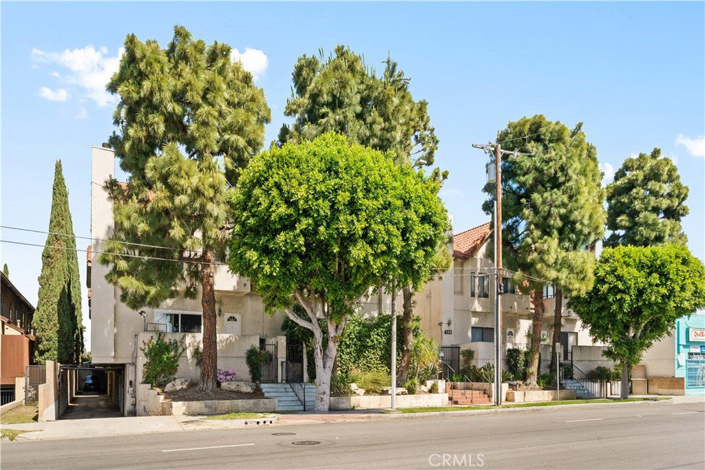 Media Image 1
