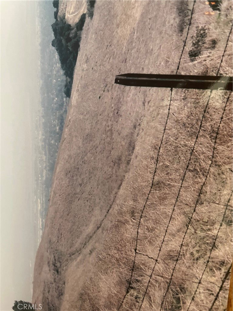 Media Image 1