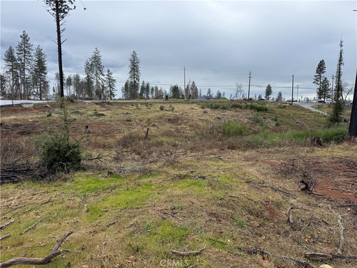 Media Image 3