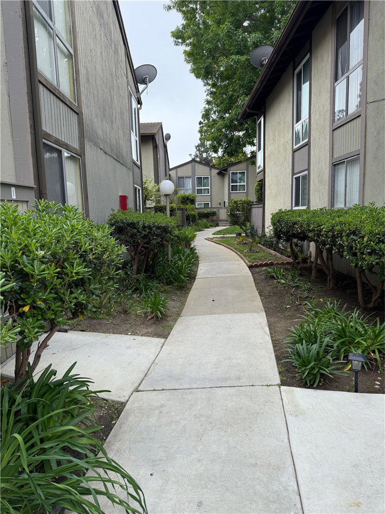 Media Image 1