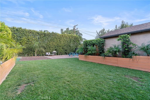 Media Image 3