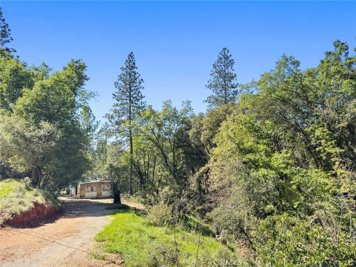 Media Image 2