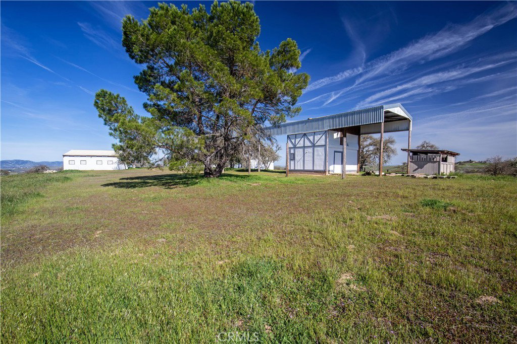 Media Image 1