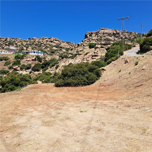 Media Image 2