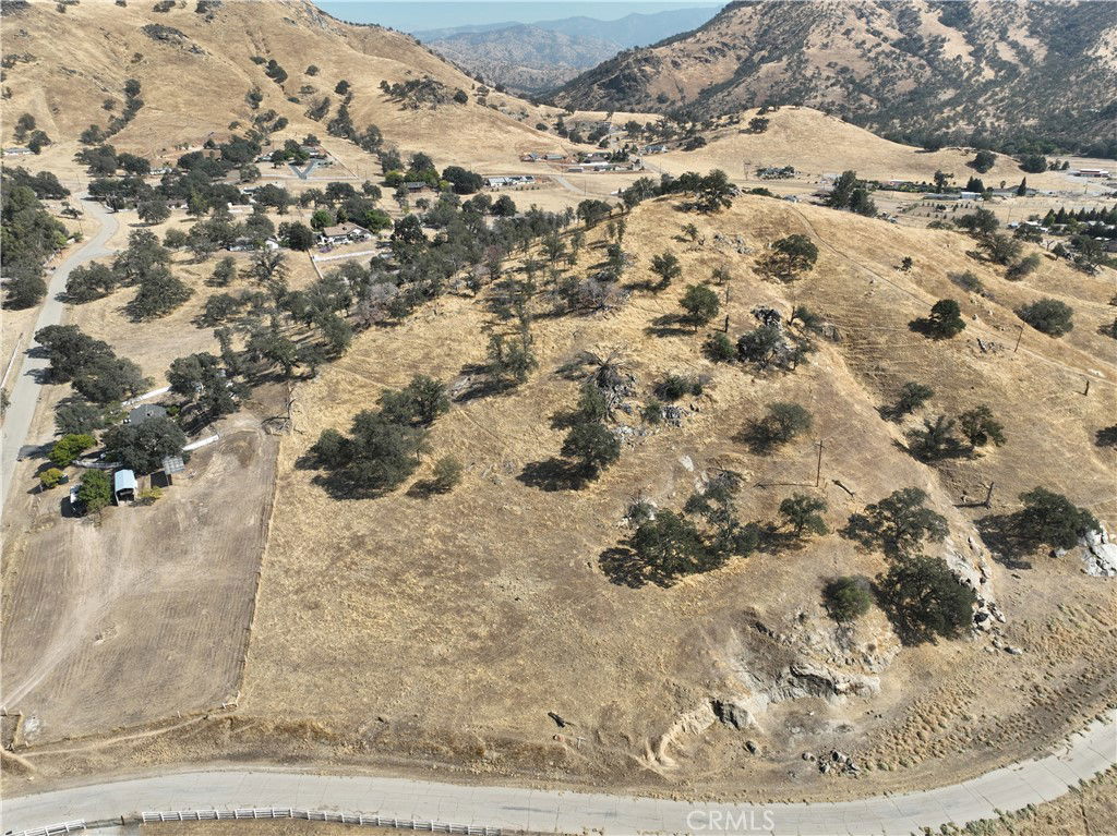 Media Image 1