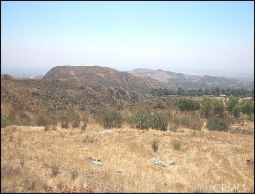 Media Image 3