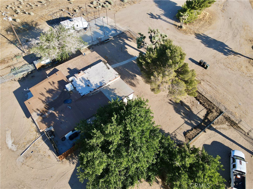 Media Image 1