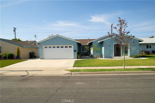 Media Image 2