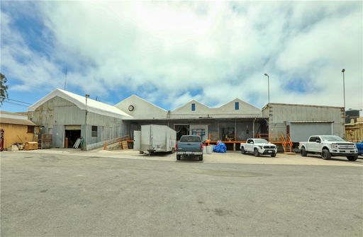 Media Image 3