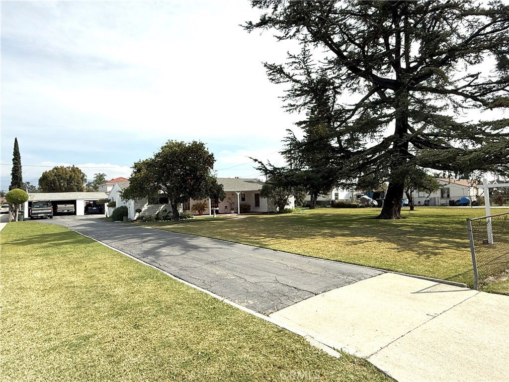Media Image 1