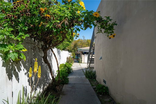 Media Image 3