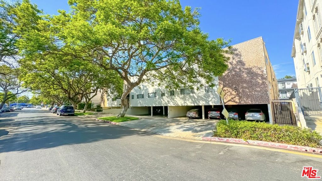 Media Image 1