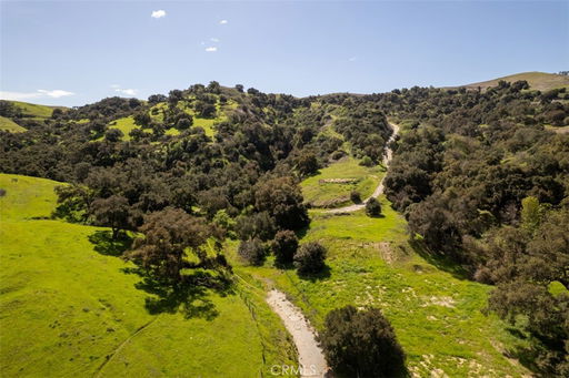 Media Image 3