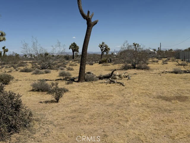 Image Unavailable