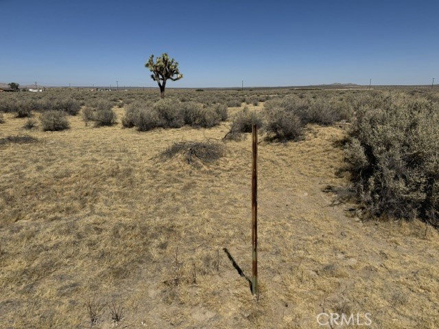 Image Unavailable