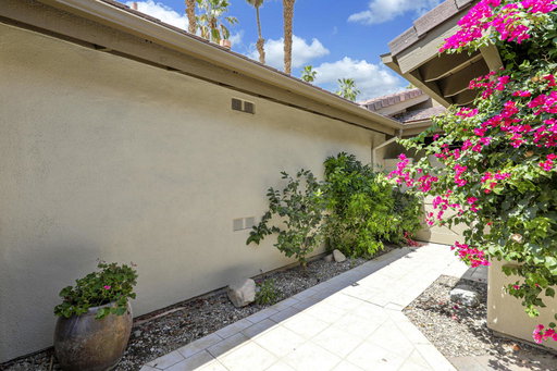 Media Image 3
