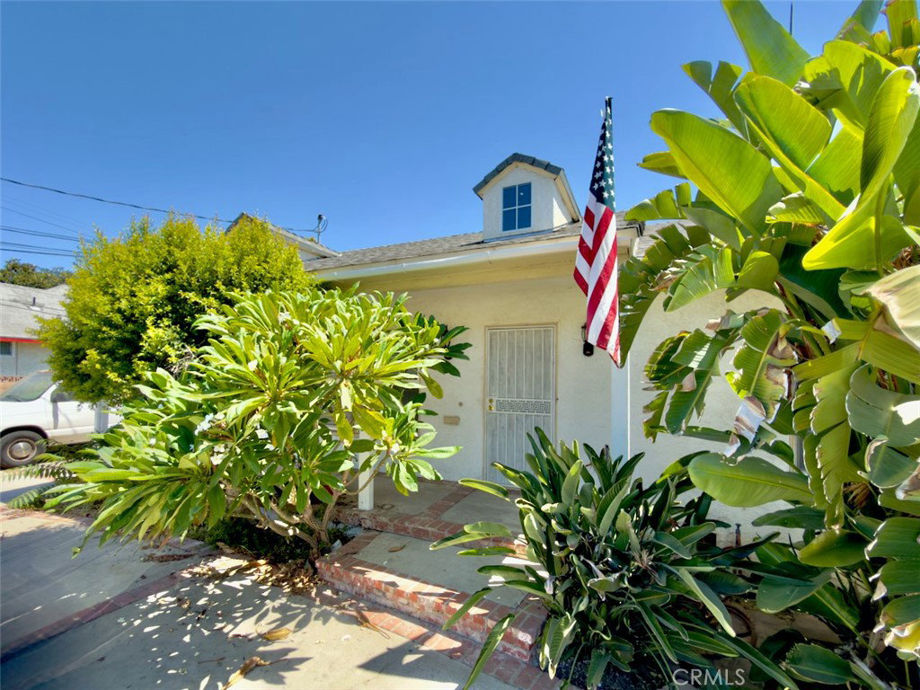 Media Image 1