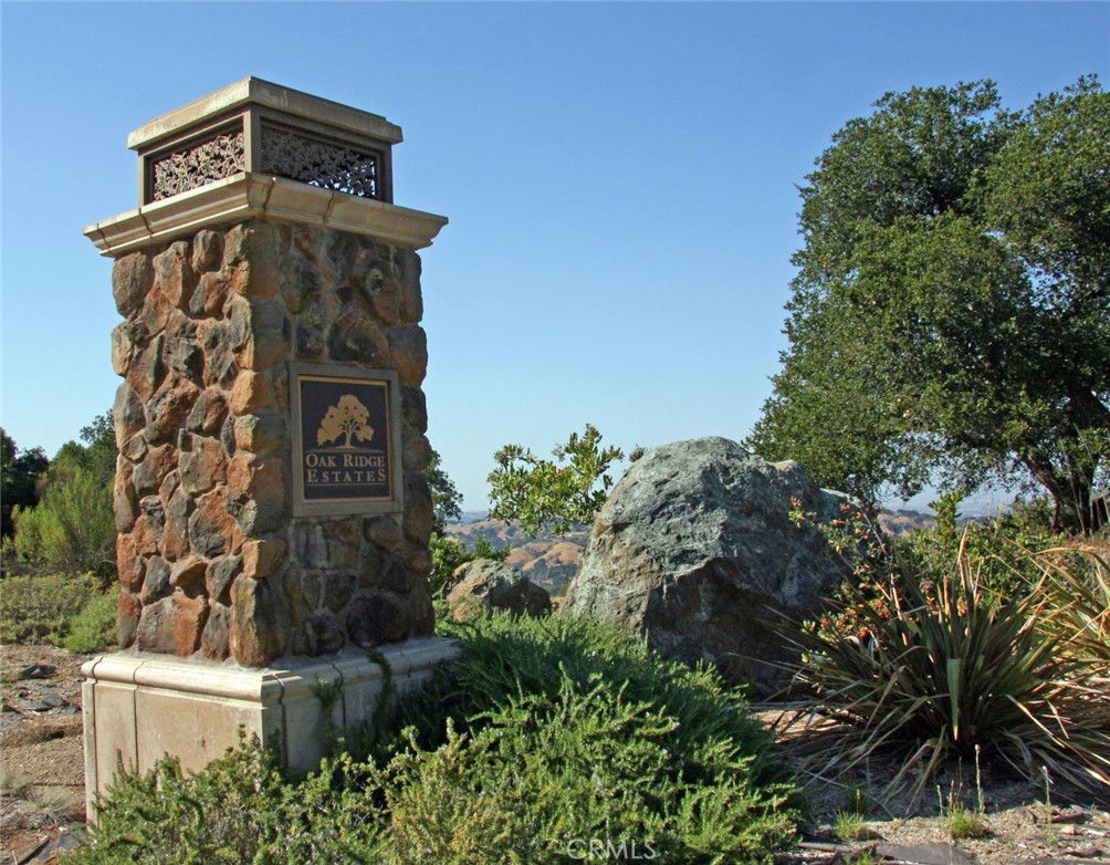 Media Image 1