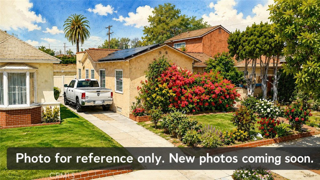 Media Image 1