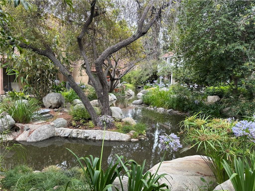 Media Image 2