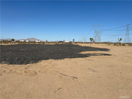 Media Image 2