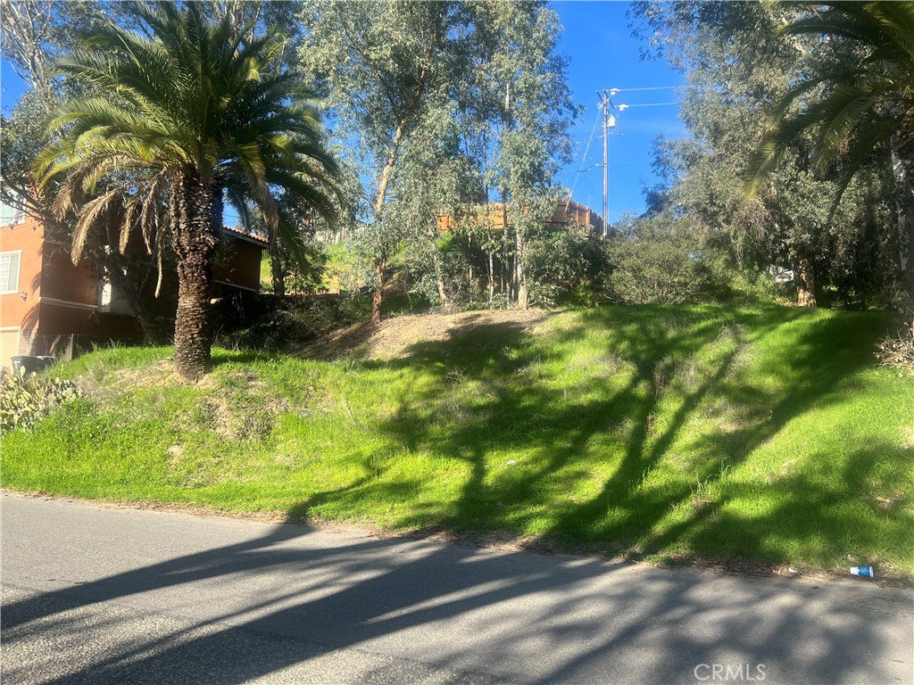 Image Unavailable