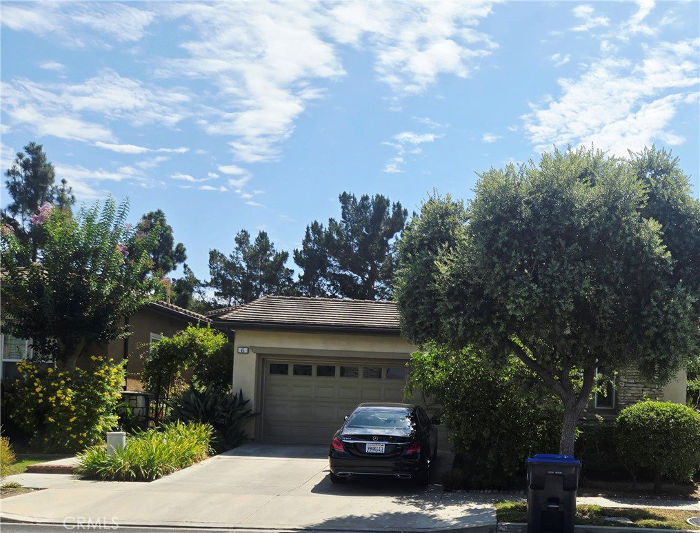 Media Image 1