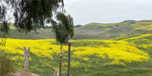 Media Image 3