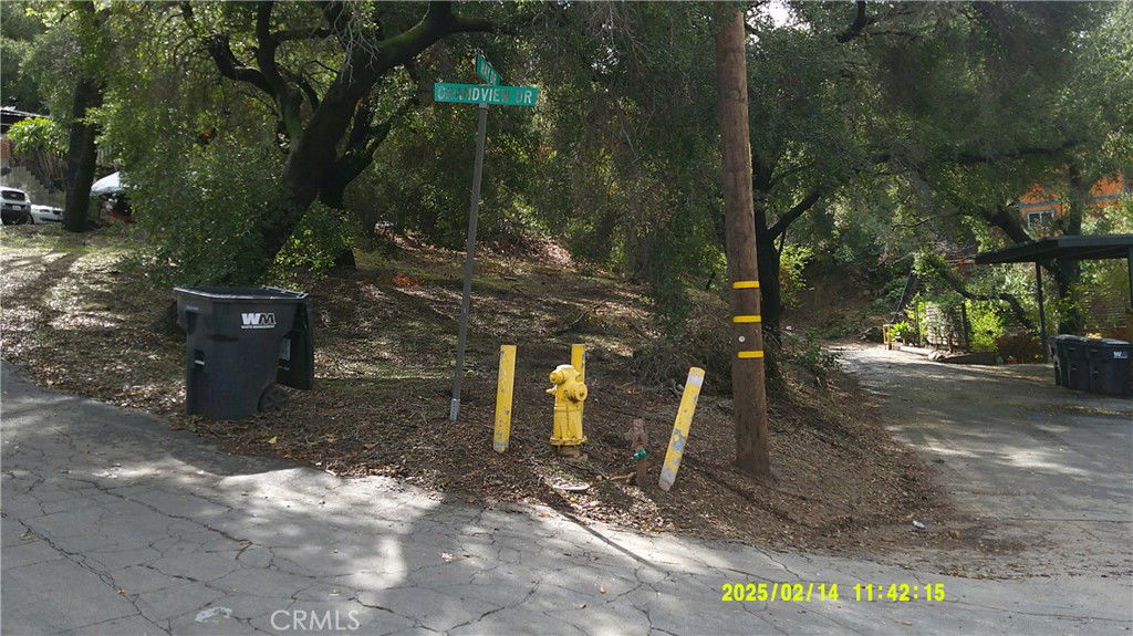Media Image 1