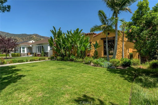 Media Image 3